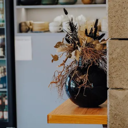 Levy's & Breakfast فندق سالزبورغ