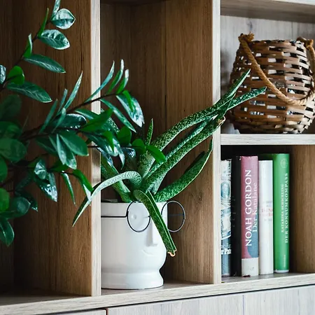 Levy's & Breakfast מלון זלצבורג